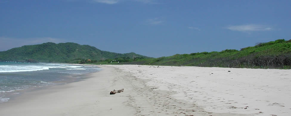 Playa Grande - Costa Rica