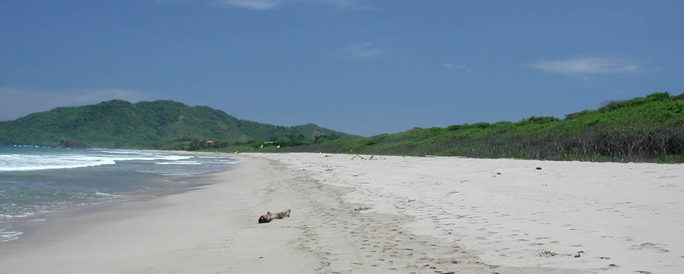 Playa Grande - Costa Rica